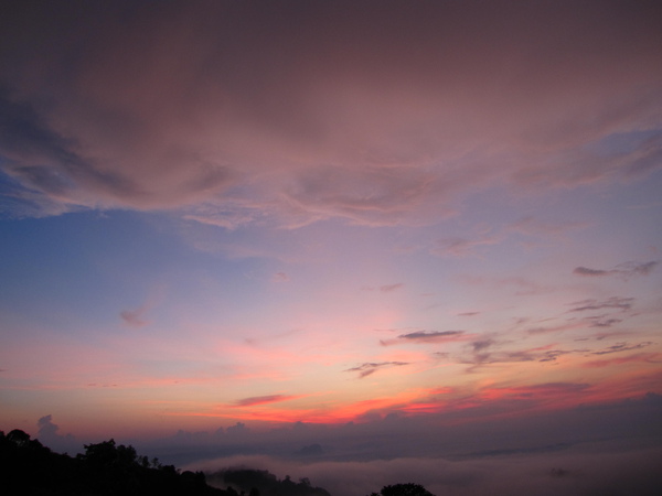 IMG_9305.JPG IMG_9305.JPG