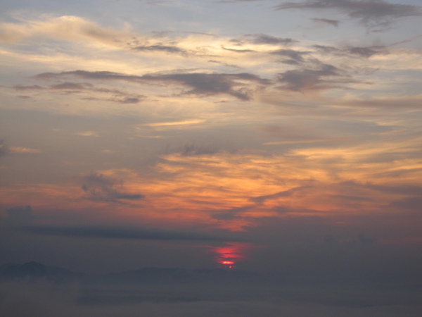 IMG_9339.JPG IMG_9339.JPG