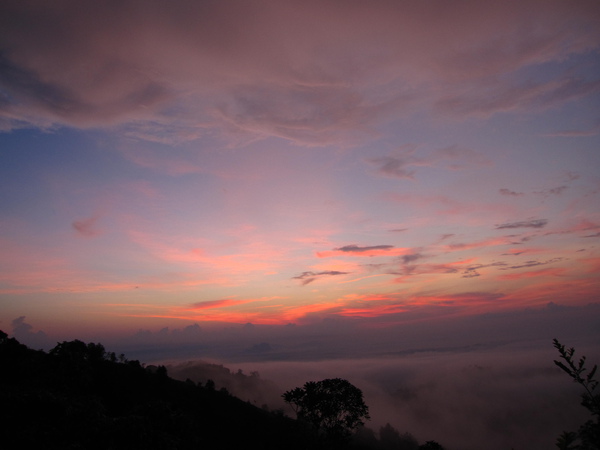 IMG_9309.JPG IMG_9309.JPG