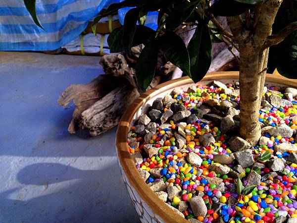 IMG_5243.JPG IMG_5243.JPG