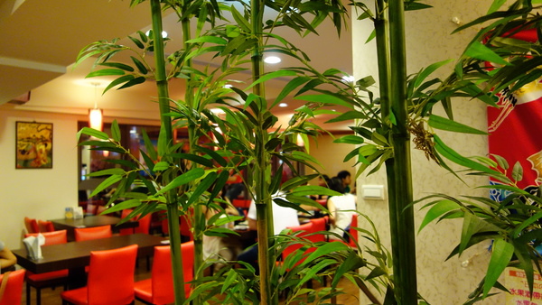 cm20140703___a00fcb2cadcc32fa3e24c5389b7