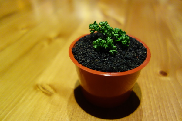 蓮香齋+素食吃到飽 蓮香齋+素食吃到飽