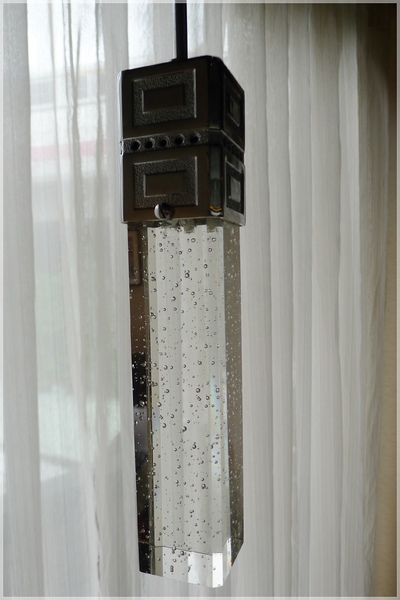 食。台北士林區。布朗迪 食。台北士林區。布朗迪