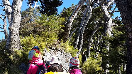 2015-01-02 10.11.39.jpg