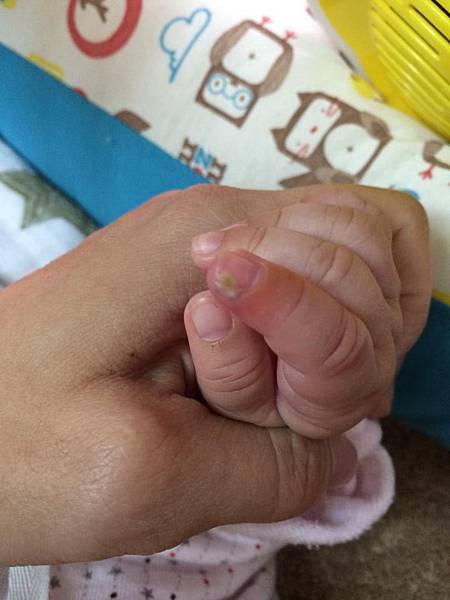 10528083_924942540855363_84469048_n 10528083_924942540855363_84469048_n