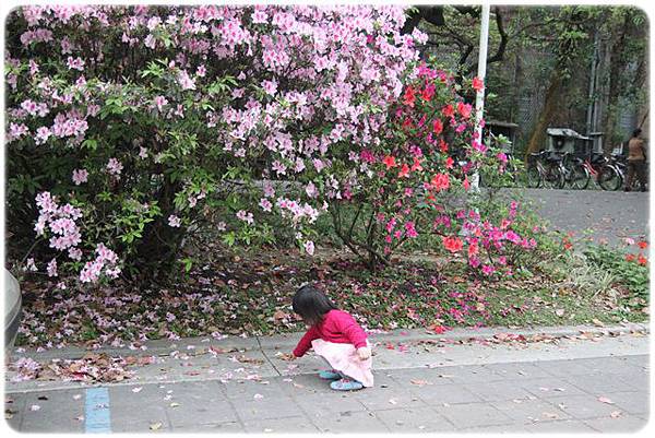 IMG_2646.JPG IMG_2646.JPG