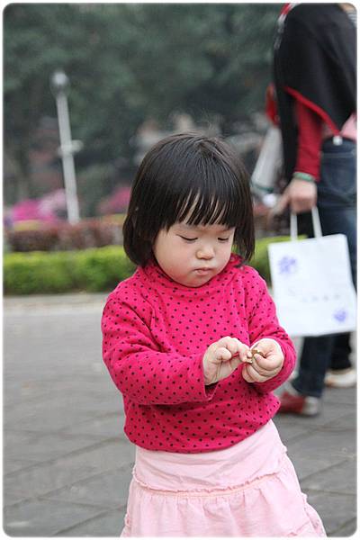 IMG_2656.JPG IMG_2656.JPG