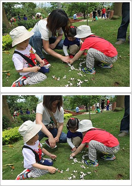 IMG_2712-vert IMG_2712-vert