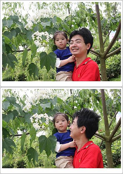 IMG_2745-vert IMG_2745-vert