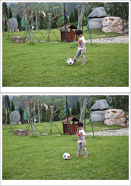 IMG_2793-vert IMG_2793-vert