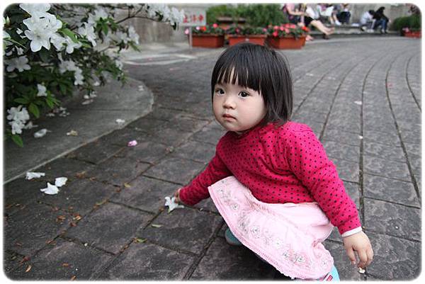 IMG_2648.JPG IMG_2648.JPG