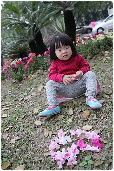 IMG_2652.JPG IMG_2652.JPG