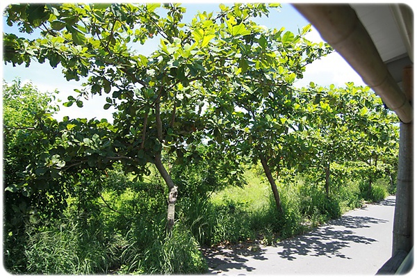 IMG_3409.JPG IMG_3409.JPG