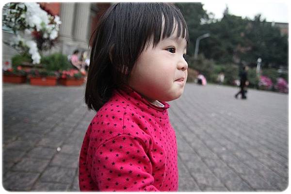 IMG_2649.JPG IMG_2649.JPG