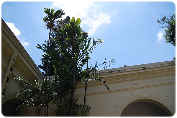 IMG_3416.JPG IMG_3416.JPG