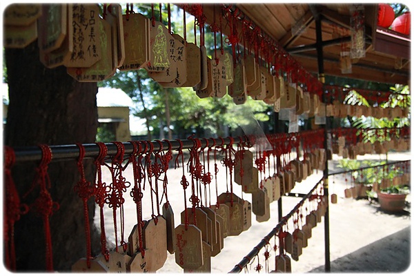 IMG_3425.JPG IMG_3425.JPG