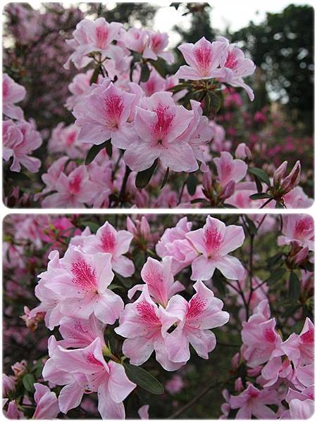 IMG_2605-vert.jpg IMG_2605-vert.jpg