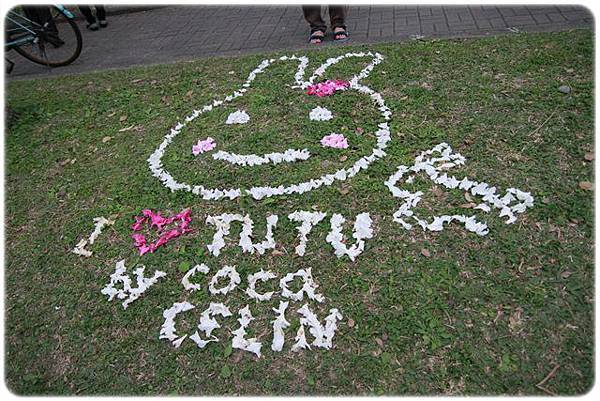 IMG_2617.JPG IMG_2617.JPG