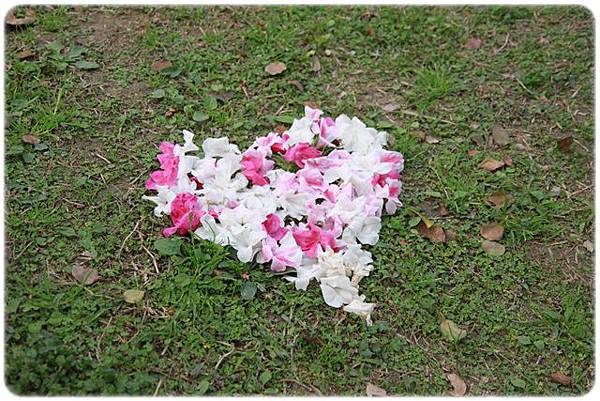 IMG_2608.JPG IMG_2608.JPG