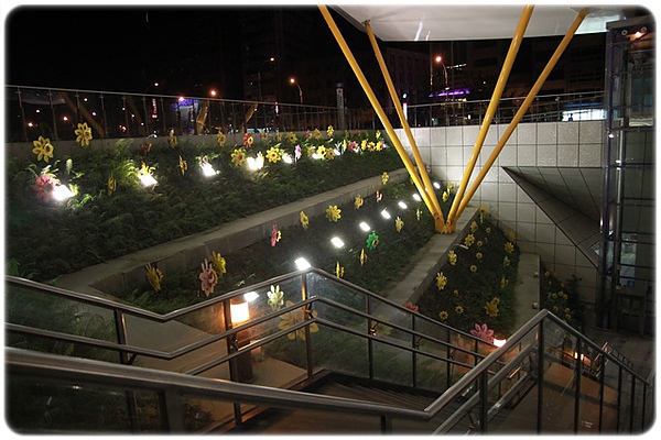 IMG_3479.JPG IMG_3479.JPG