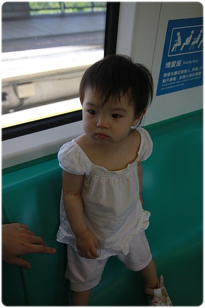 IMG_3387.JPG IMG_3387.JPG