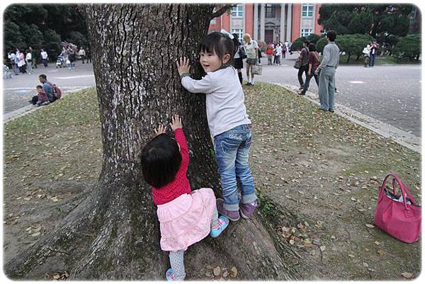 IMG_2642.JPG IMG_2642.JPG