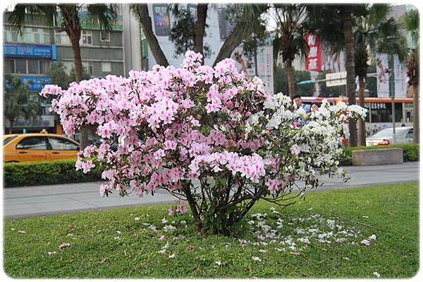 IMG_2592.JPG IMG_2592.JPG