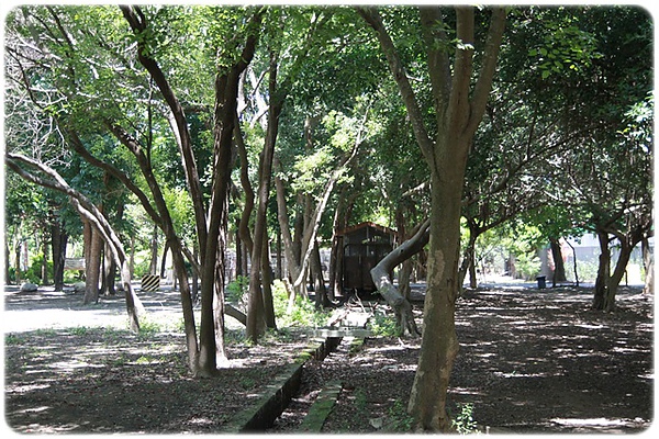 IMG_3395.JPG IMG_3395.JPG