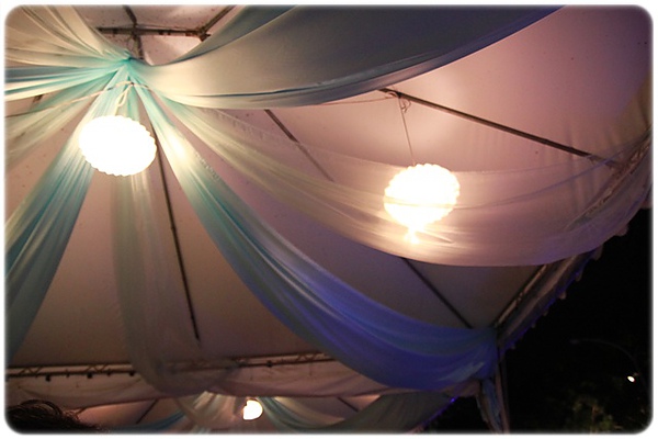 IMG_7066.JPG IMG_7066.JPG