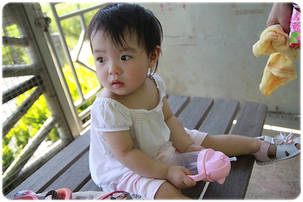 IMG_3408.JPG IMG_3408.JPG