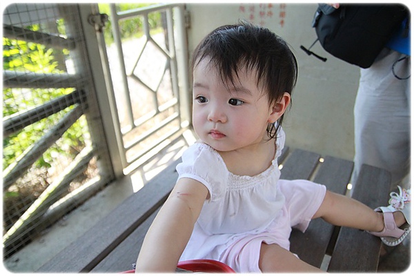 IMG_3403.JPG IMG_3403.JPG