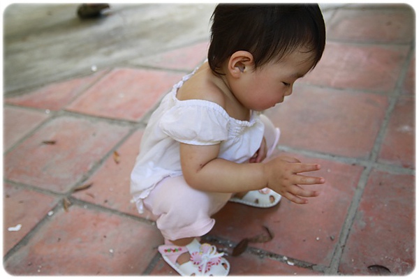 IMG_3437.JPG IMG_3437.JPG