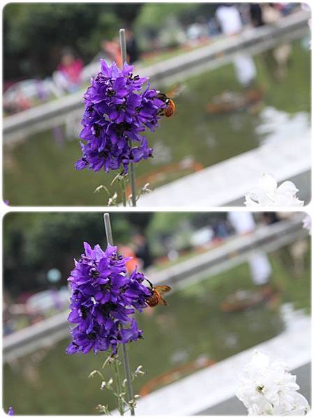 IMG_2636-vert.jpg IMG_2636-vert.jpg