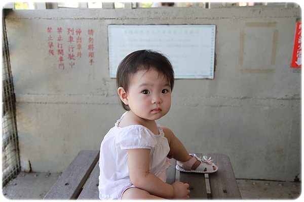 IMG_3388.JPG IMG_3388.JPG