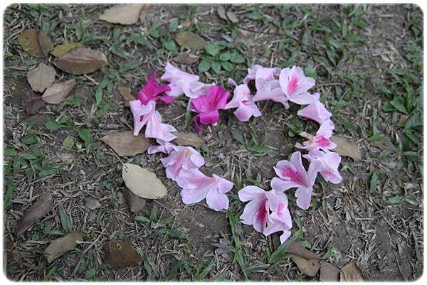 IMG_2647.JPG IMG_2647.JPG