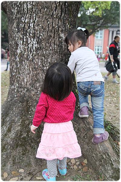 IMG_2643.JPG IMG_2643.JPG