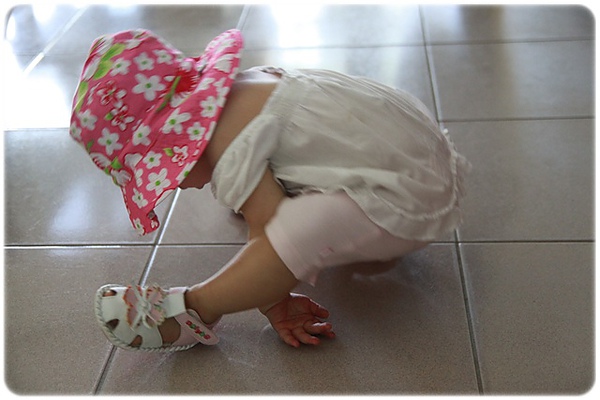 IMG_3413.JPG IMG_3413.JPG