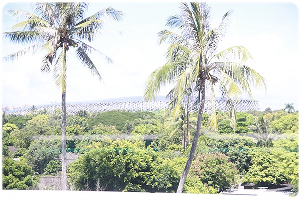 IMG_3384.JPG IMG_3384.JPG