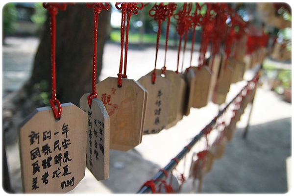 IMG_3426.JPG IMG_3426.JPG