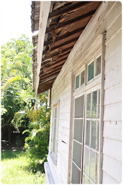 IMG_3448.JPG IMG_3448.JPG