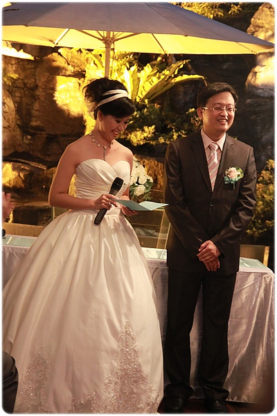 IMG_7037.JPG IMG_7037.JPG