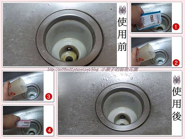 毛寶1.jpg 毛寶1.jpg