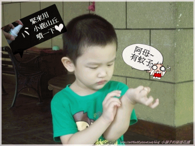 anigif.gif anigif.gif