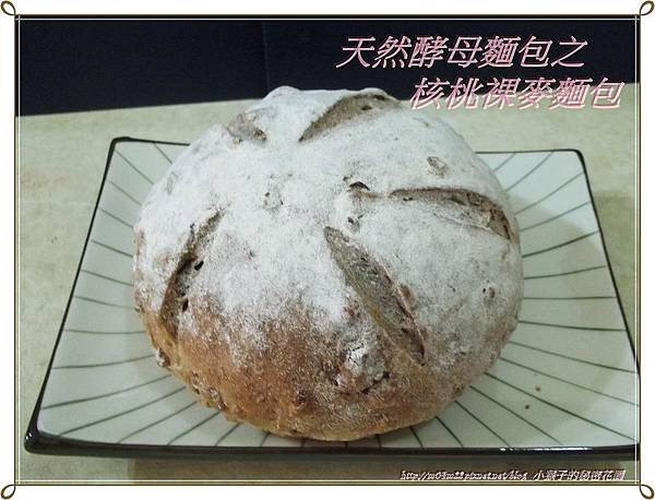 菲諾坊3.JPG 菲諾坊3.JPG