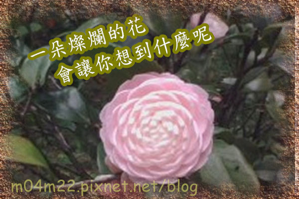 花.jpg 花.jpg