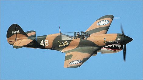2646083_P-40 2646083_P-40