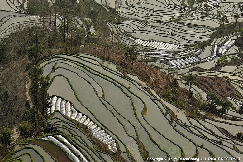 _DSC1772.JPG _DSC1772.JPG