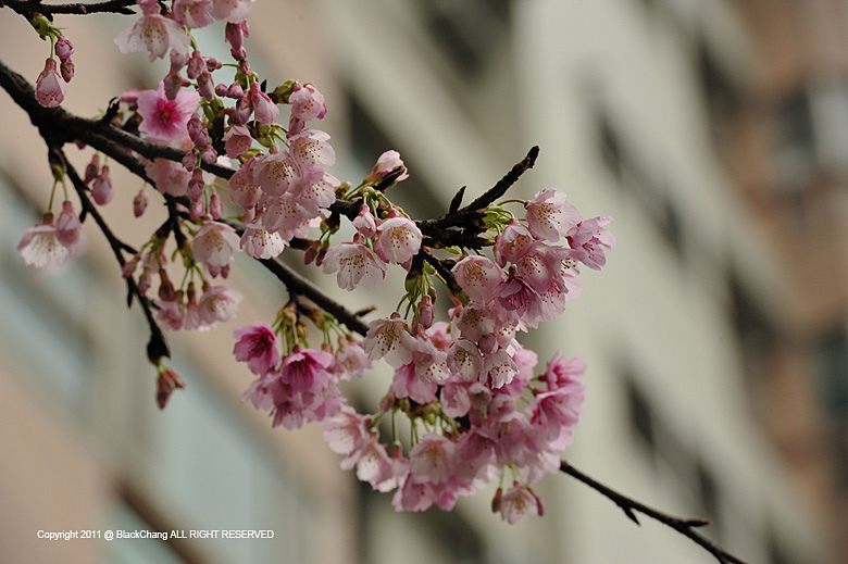 02月12日 02月12日