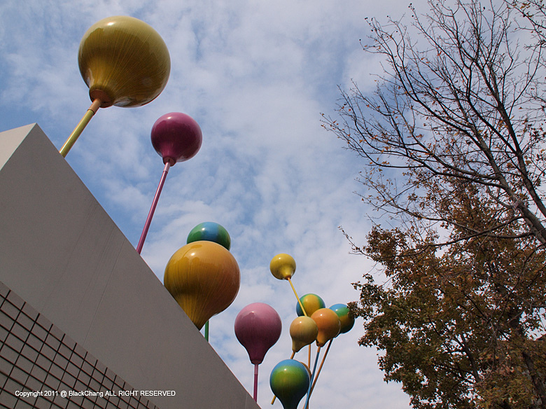 02月01日 02月01日