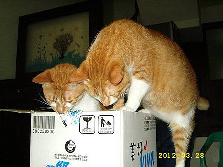 LX_aCq7jAz0wTDgA4.oOGQ